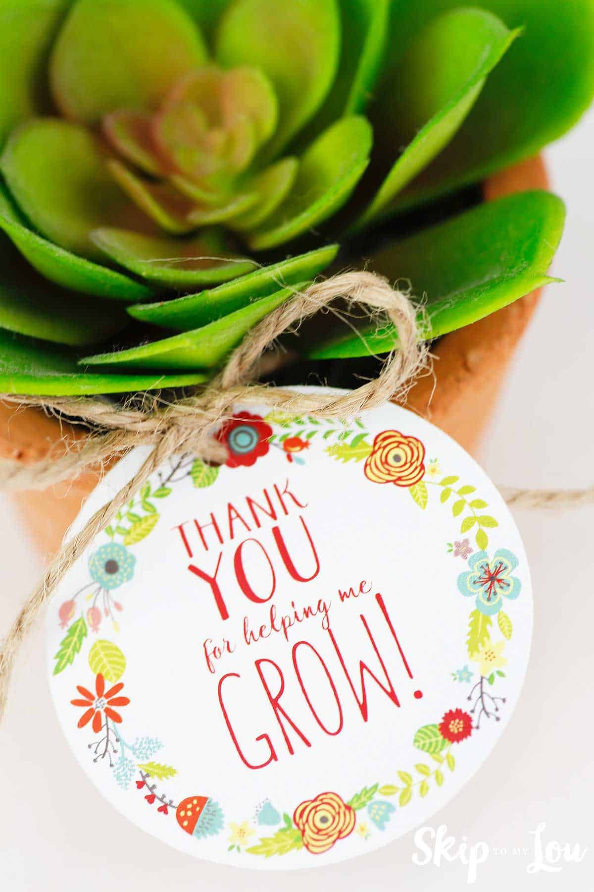 Free Printable Thank You For Helping Me Grow Gift Tags | Skip To with Thank You For Helping Me Grow Free Printable